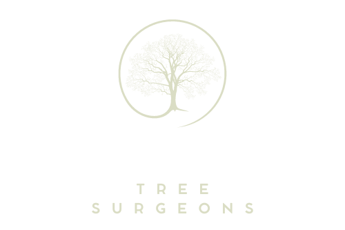 Long Eaton Tree Surgeons
