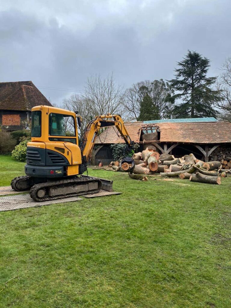 This is a photo of a tree which has grown through the roof of a barn that is being cut down and removed. There is a digger that is removing sections of the tree as well. Long Eaton Tree Surgeons