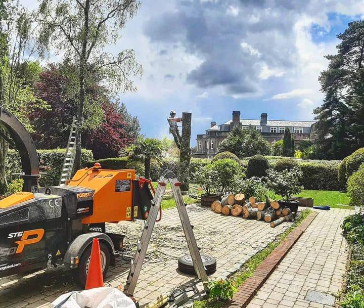 This is a photo of a tree being felled. A tree surgeon is currently removing the last section, the logs are stacked in a pile. Long Eaton Tree Surgeons